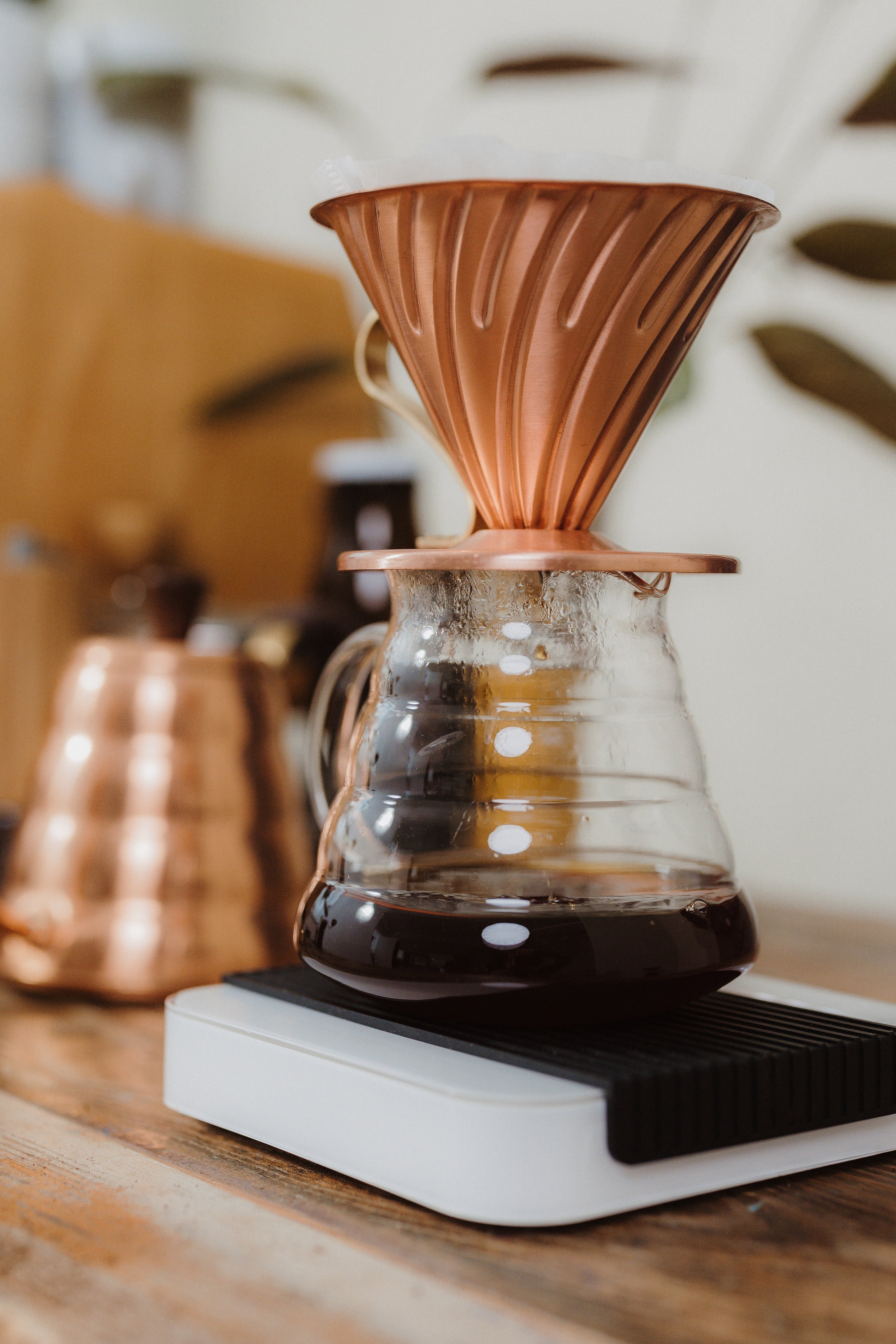 Kaffeebasiskurs